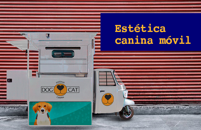 iniciar estética canina móvil